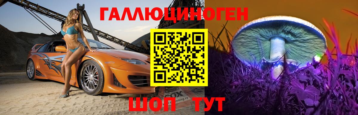 Псилоцибиновые грибы прущие грибы Зима